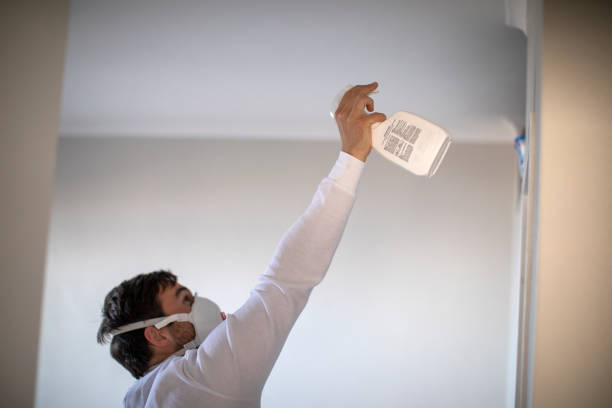 Best Affordable Mold Removal  in Racend, LA