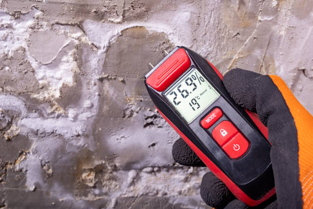 Office Mold Removal Services in Raceland, LA